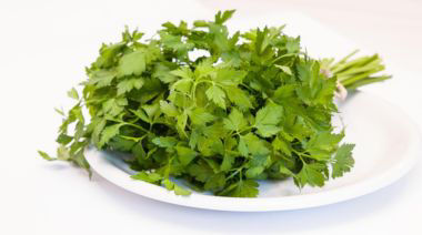 garnishing-instructions-image